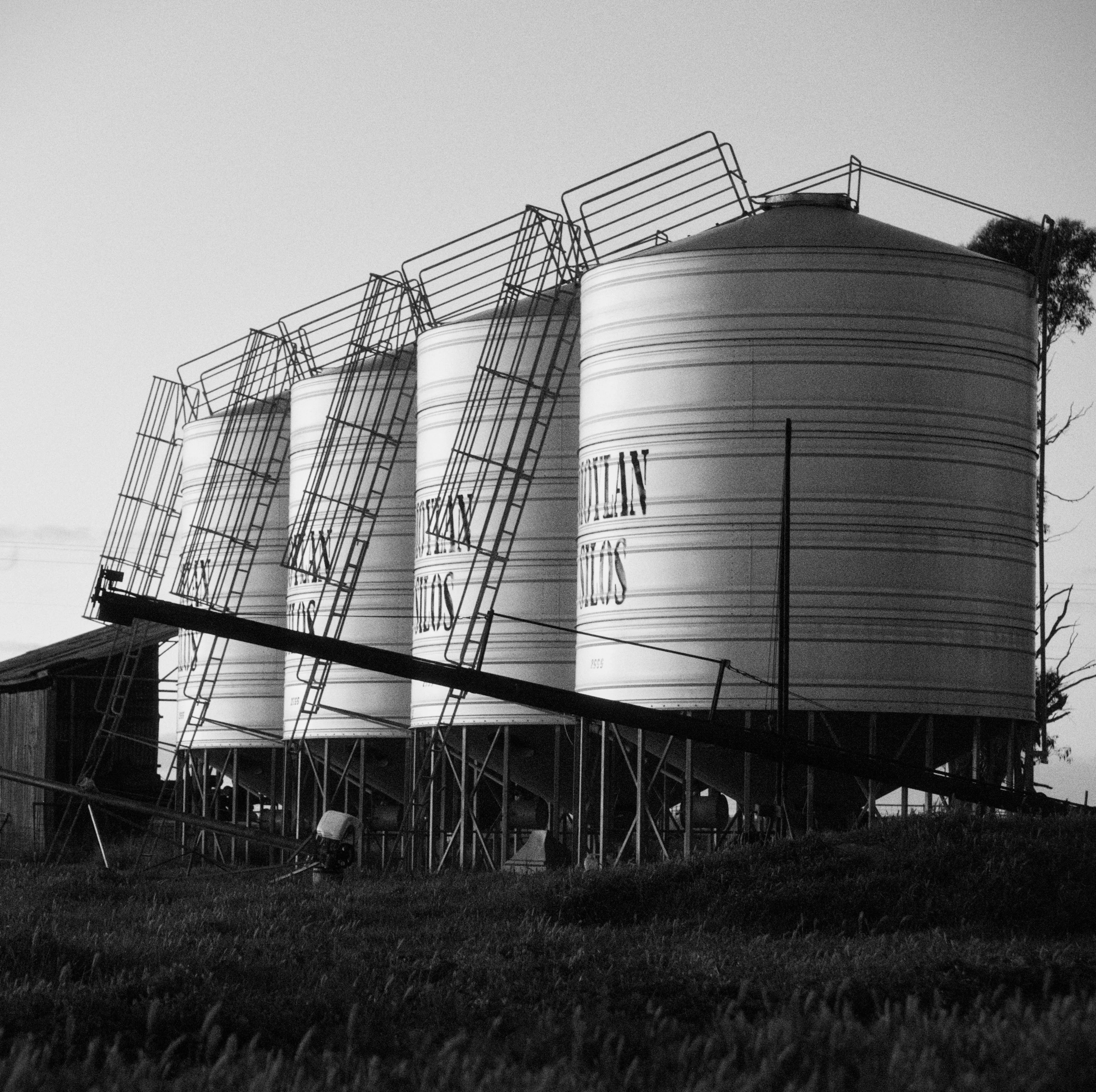 four grain silos lined up diagonally with an auger in the foreground